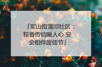 军山街蒲潭社区：粽香传情暖人心 安全相伴度佳节