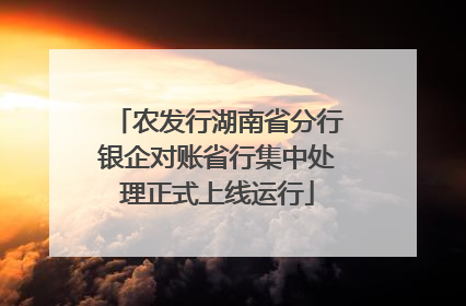 农发行湖南省分行银企对账省行集中处理正式上线运行