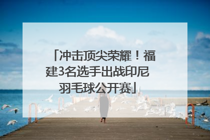 冲击顶尖荣耀！福建3名选手出战印尼羽毛球公开赛