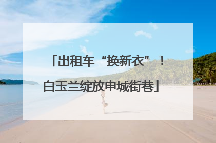 出租车“换新衣”！白玉兰绽放申城街巷