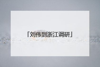 刘伟到浙江调研
