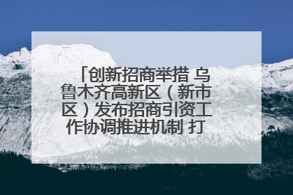 创新招商举措 乌鲁木齐高新区（新市区）发布招商引资工作协调推进机制 打造投资发展新高地