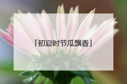 初夏时节瓜飘香