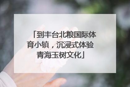 到丰台北粮国际体育小镇，沉浸式体验青海玉树文化