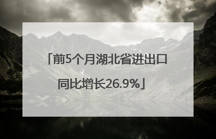 前5个月湖北省进出口同比增长26.9%