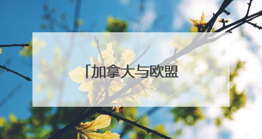 加拿大与欧盟签署防务协议