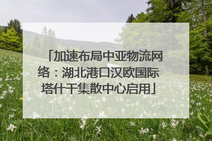 加速布局中亚物流网络：湖北港口汉欧国际塔什干集散中心启用