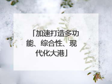 加速打造多功能、综合性、现代化大港