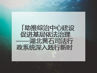 助推综治中心建设 促进基层依法治理——湖北黄石司法行政系统深入践行新时代枫桥经验