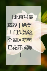北京号最精彩｜绝美！门头沟这个景区芍药已花开成海