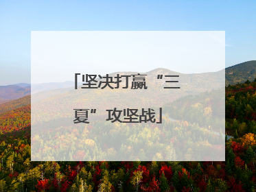 坚决打赢“三夏”攻坚战