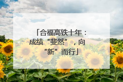 合福高铁十年：成绩“斐然”，向“新”而行
