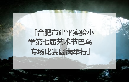 合肥市建平实验小学第七届艺术节巴乌专场比赛圆满举行