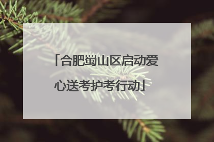 合肥蜀山区启动爱心送考护考行动