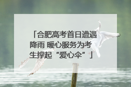 合肥高考首日遭遇降雨 暖心服务为考生撑起“爱心伞”