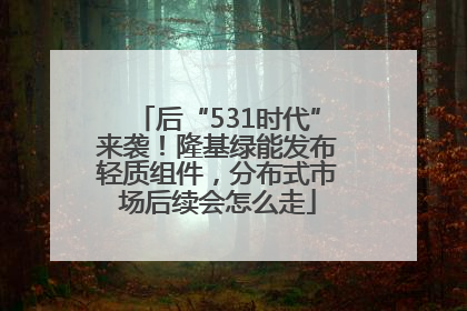 后“531时代”来袭！隆基绿能发布轻质组件，分布式市场后续会怎么走