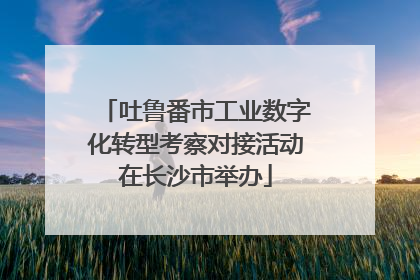 吐鲁番市工业数字化转型考察对接活动在长沙市举办