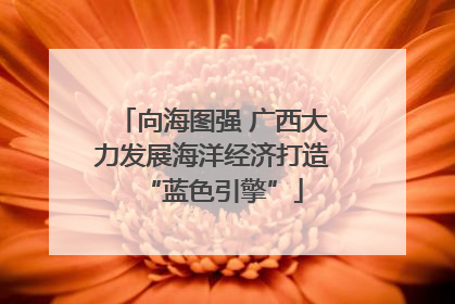 向海图强 广西大力发展海洋经济打造“蓝色引擎”