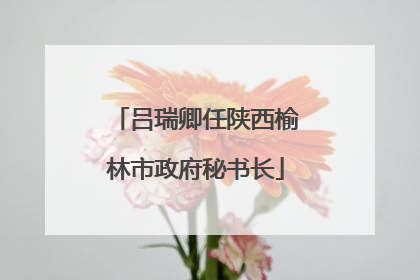 吕瑞卿任陕西榆林市政府秘书长