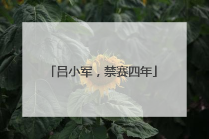 吕小军，禁赛四年