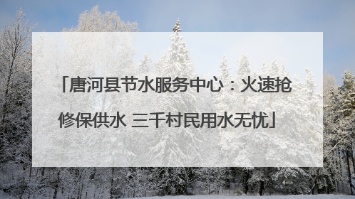唐河县节水服务中心：火速抢修保供水 三千村民用水无忧