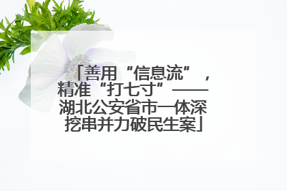 善用“信息流”，精准“打七寸”——湖北公安省市一体深挖串并力破民生案