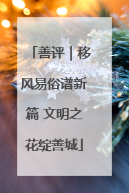 善评｜移风易俗谱新篇 文明之花绽善城