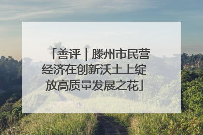 善评｜滕州市民营经济在创新沃土上绽放高质量发展之花