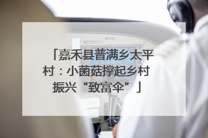 嘉禾县普满乡太平村：小菌菇撑起乡村振兴“致富伞”