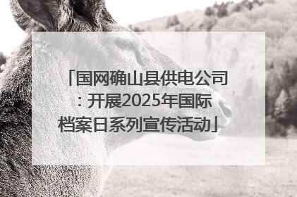 国网确山县供电公司：开展2025年国际档案日系列宣传活动