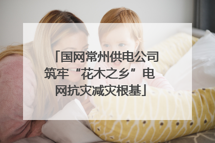 国网常州供电公司筑牢“花木之乡”电网抗灾减灾根基
