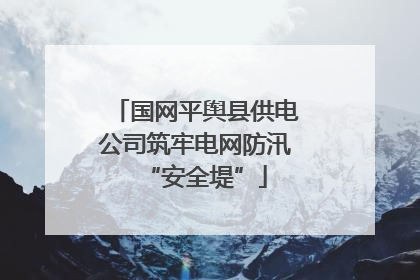 国网平舆县供电公司筑牢电网防汛“安全堤”