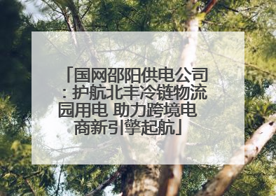 国网邵阳供电公司：护航北丰冷链物流园用电 助力跨境电商新引擎起航