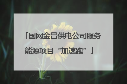 国网金昌供电公司服务能源项目“加速跑”