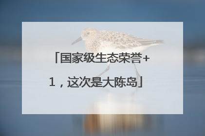 国家级生态荣誉+1，这次是大陈岛