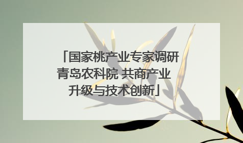 国家桃产业专家调研青岛农科院 共商产业升级与技术创新