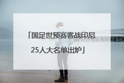 国足世预赛客战印尼25人大名单出炉