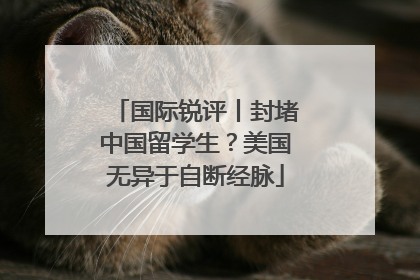 国际锐评丨封堵中国留学生？美国无异于自断经脉