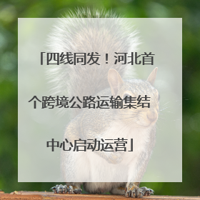 四线同发！河北首个跨境公路运输集结中心启动运营
