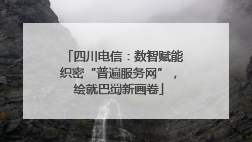 四川电信：数智赋能织密“普遍服务网”，绘就巴蜀新画卷
