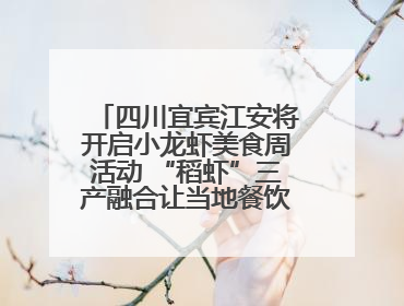 四川宜宾江安将开启小龙虾美食周活动 “稻虾”三产融合让当地餐饮商户充满期待