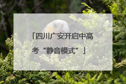 四川广安开启中高考“静音模式”