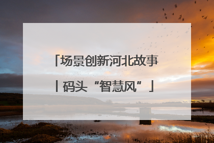 场景创新河北故事丨码头“智慧风”