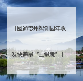 圆通贵州智创园年收发快递量“三级跳”