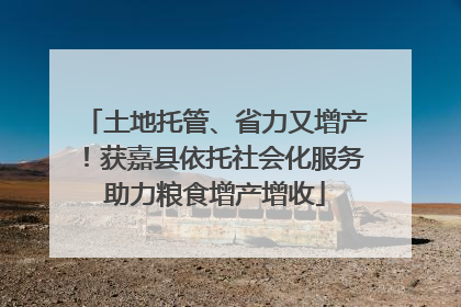 土地托管、省力又增产！获嘉县依托社会化服务助力粮食增产增收