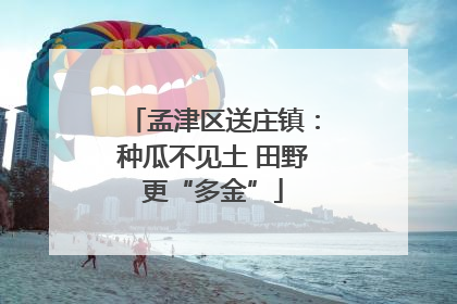 孟津区送庄镇：种瓜不见土 田野更“多金”