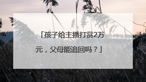 孩子给主播打赏2万元，父母能追回吗？