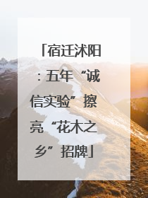 宿迁沭阳：五年“诚信实验”擦亮“花木之乡”招牌