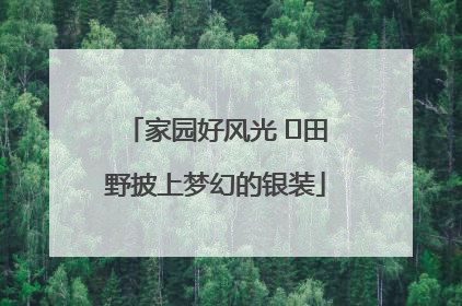家园好风光 ⎮田野披上梦幻的银装