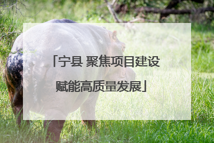 宁县 聚焦项目建设 赋能高质量发展